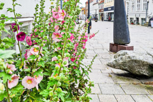 Faaborg