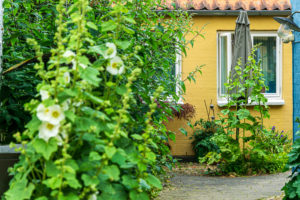 Faaborg