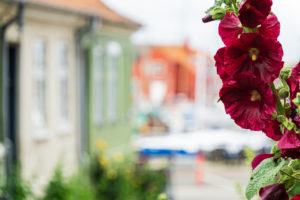 Faaborg