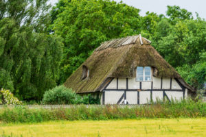 20250624_Odense_Faaborg-1