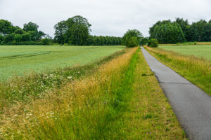 Odense_Faaborg