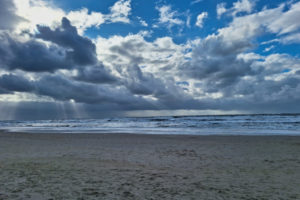20250916_Texel