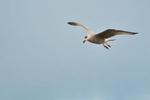 20250916_Texel