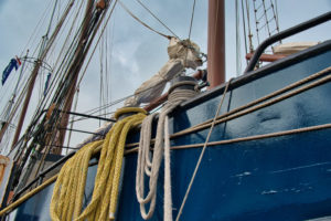 20250916_Texel