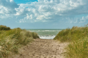 20250916_Texel