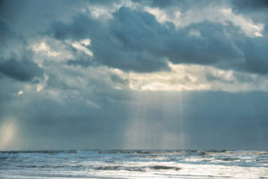 20250916_Texel