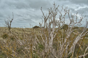 20250917_KaapNoord