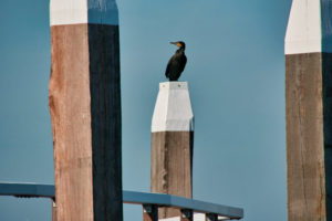 20250919_Segeln