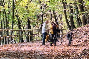 Indian Summer am Rursee