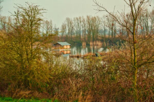 TerHills-Stokkum-Eisden TerHills-Stokkum-Eisden