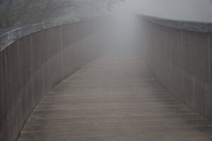 Mechelse Heide Mechelse Heide