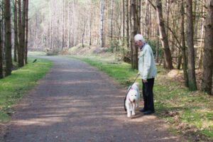 Spaziergang im Nationalpark Spaziergang im Nationalpark