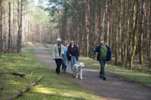 Spaziergang im Nationalpark Spaziergang im Nationalpark
