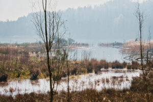 Spaziergang im Nationalpark Spaziergang im Nationalpark