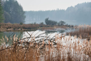 Spaziergang im Nationalpark Spaziergang im Nationalpark