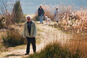 Spaziergang im Nationalpark Spaziergang im Nationalpark
