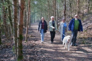 Spaziergang im Nationalpark Spaziergang im Nationalpark
