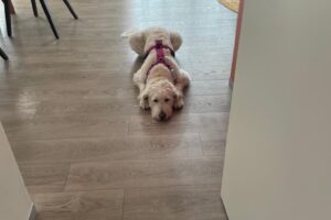 Claudias HandyFotos Claudias HandyFotos