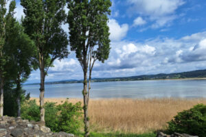 Insel Reichenau (Cl.) Insel Reichenau (Cl.)