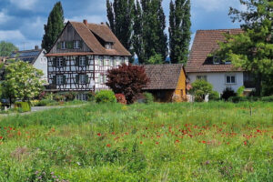 Insel Reichenau (Cl.) Insel Reichenau (Cl.)