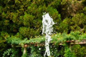 Insel Mainau Insel Mainau