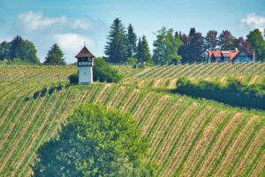 Konstanz-Lindau-Bregenz
