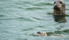 Texel 22.09.2026