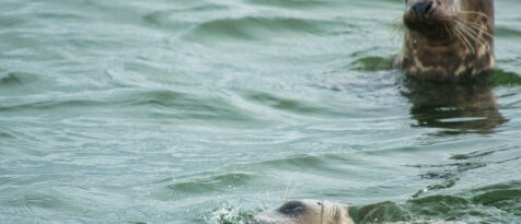 Texel 22.09.2026