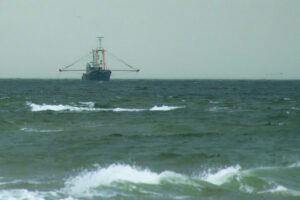 23.09.2026 Texel Mittwoch 23.09.2026 Texel Mittwoch